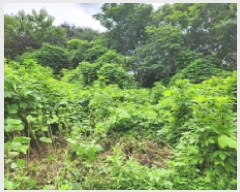  2025Ÿ��3459 ��� ����õ�� ����õ�� 32-15       ����(�Ӿ�)���