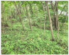  2025Ÿ��3459 ��� ����õ�� ����õ�� 32-15       ����(�Ӿ�)���