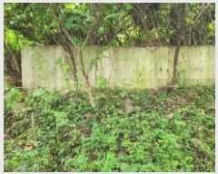  2025Ÿ��3459 ��� ����õ�� ����õ�� 32-15       ����(�Ӿ�)���