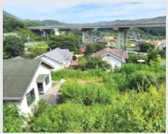  2025Ÿ��3817 ��� ���ֽ� ����� �Ͽ��� 66-7      ���ð��