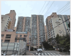  2025Ÿ��4162  ����Ʈ���