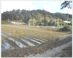  2025Ÿ��4780 ���� ö���� �ٳ��� �� 1015      ����(��)���