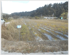  2025Ÿ��4780 ���� ö���� �ٳ��� �� 1015      ����(��)���