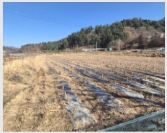  2025Ÿ��4780 ���� ö���� �ٳ��� �� 1015      ����(��)���