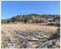  2025Ÿ��4780 ���� ö���� �ٳ��� �� 1015      ����(��)���