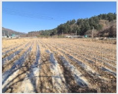  2025Ÿ��4780 ���� ö���� �ٳ��� �� 1015      ����(��)���