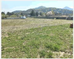  2025Ÿ��72066 ���� ö���� ������ ���渮 404      ����(������)���