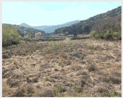  2025Ÿ��72066 ���� ö���� ������ ���渮 404      ����(������)���