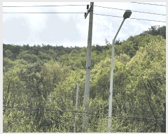  2025Ÿ��72106 ��� �����ν� �Ű ��105-4       ����(�Ӿ�)���