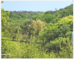  2025Ÿ��72106 ��� �����ν� �Ű ��105-4       ����(�Ӿ�)���