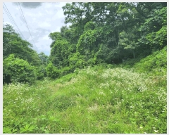  2025Ÿ72156  ö  츮 20      (Ӿ)