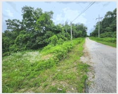  2025Ÿ72156  ö  츮 20      (Ӿ)