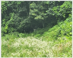  2025Ÿ72156  ö  츮 20      (Ӿ)