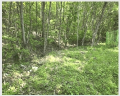  2025Ÿ72243  õ ϵ  339-2      Ű