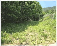  2025Ÿ72243  õ ϵ  339-2      Ű