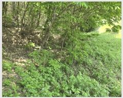  2025Ÿ72243  õ ϵ  339-2      Ű