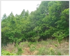  2025Ÿ72243  õ ϵ  339-2      Ű