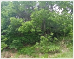  2025Ÿ72243  õ ϵ  339-2      Ű