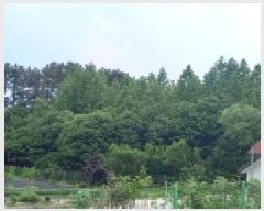  2025Ÿ72243  õ ϵ  339-2      Ű