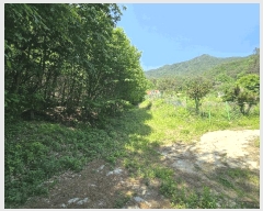  2025Ÿ72243  õ ϵ  339-2      Ű