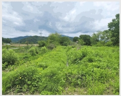  2025Ÿ��72251 ��� ��õ�� �̻�� ��ȭ�� 219-8      ����(��)���