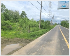  2025Ÿ��72251 ��� ��õ�� �̻�� ��ȭ�� 219-8      ����(��)���