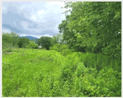  2025Ÿ��72251 ��� ��õ�� �̻�� ��ȭ�� 219-8      ����(��)���