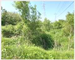  2025Ÿ��72251 ��� ��õ�� �̻�� ��ȭ�� 219-8      ����(��)���