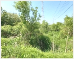  2025Ÿ��72251 ��� ��õ�� �̻�� ��ȭ�� 219-8      ����(��)���