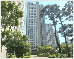  2025Ÿ��72393  ����Ʈ���