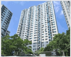  2025Ÿ72415  ν  391-19 ǿƮ 108 24 2401ȣ   Ʈ