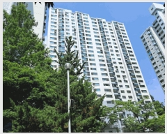  2025Ÿ72415  ν  391-19 ǿƮ 108 24 2401ȣ   Ʈ