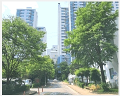  2025Ÿ72415  ν  391-19 ǿƮ 108 24 2401ȣ   Ʈ