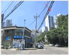  2025Ÿ72415  ν  391-19 ǿƮ 108 24 2401ȣ   Ʈ