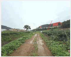  2025Ÿ72567  õ ̻ ƹ̸ 153-1      (1)