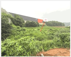  2025Ÿ72567  õ ̻ ƹ̸ 153-1      (1)