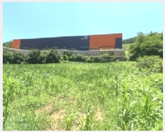  2025Ÿ72567  õ ̻ ƹ̸ 153-1      (1)