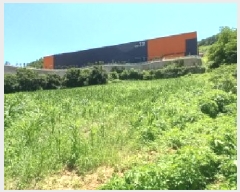  2025Ÿ72567  õ ̻ ƹ̸ 153-1      (1)