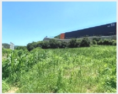  2025Ÿ72567  õ ̻ ƹ̸ 153-1      (1)