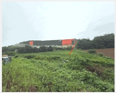  2025Ÿ72567  õ ̻ ƹ̸ 153-1      (1)