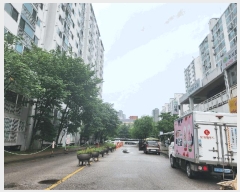  2025Ÿ72686  õ ۳ 665-3 ۳ְƮ 408 14 1404ȣ   Ʈ