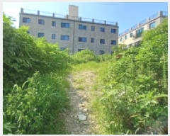  2025Ÿ��72703 ��� ��õ�� ��浿 309-13       ����(��1)���