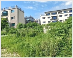  2025Ÿ��72703 ��� ��õ�� ��浿 309-13       ����(��1)���