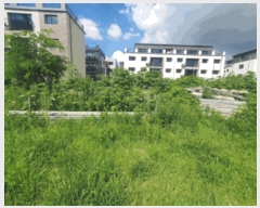  2025Ÿ��72703 ��� ��õ�� ��浿 309-13       ����(��1)���