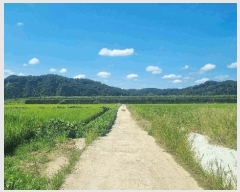  2025Ÿ��73044  ����