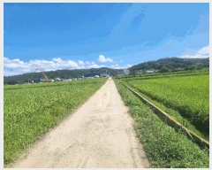  2025Ÿ��73044  ����