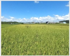  2025Ÿ��73044  ����