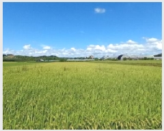  2025Ÿ��73044  ����