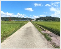  2025Ÿ��73044  ����