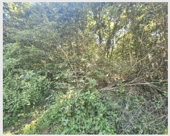  2025Ÿ��73095 ��� ��õ�� ������ ������ ��30      ����(�Ӿ�)���